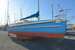 Edel Catamarans EDEL Strat CAT 35 BILD 4