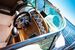 Coral Yacht 750 Sport Cruiser BILD 4