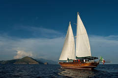 Ticari Yat Gulet (Segelboot)