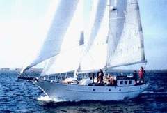 Schoner 17 m (Segelboot)