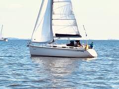 Bavaria 30 Cruiser (sailboat)