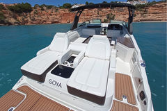 Sea Ray 290 SDX Goya BILD 6